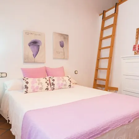 Villa Can Seti Alaro